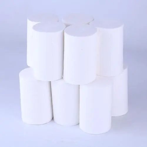 衛生紙要丟垃圾桶還是馬桶？