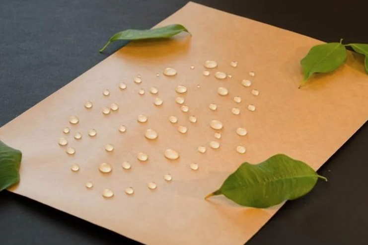 食品飲料的包裝多種多樣，隨著(zhù)經(jīng)濟發(fā)展和科學(xué)技術(shù)進(jìn)步，食品飲料包裝也在不斷演變。無(wú)菌包裝便是液態(tài)奶包裝的一次革新，讓常溫奶迎來(lái)快速發(fā)展時(shí)期。未來(lái)，我國無(wú)菌包裝將應用到更多液態(tài)包裝領(lǐng)域，市場(chǎng)前景廣闊。