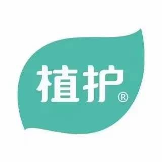 維亞造紙機械與來(lái)賓廣西植護云商7、8號機正式簽約